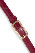 IACASHA4818